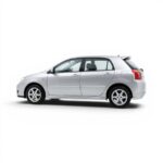 FibreForce Sport Side Skirts for Toyota Run-X