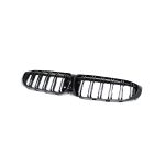 Gloss Black Grill for Bmw GNS20 (non-oem)