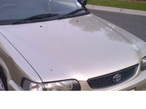 Toyota Tazz Replacement Bonnet-0