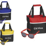 Citi Vivo Fun in the Sun Hamper-0