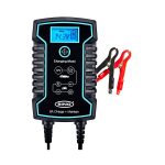 Ring Automotive 6A Smart Charger and Battery Maintainer