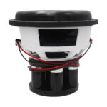 Ice Power IPDS122D2-NEO6.3 Neo Series 12" 6000w D4 Destruction Subwoofer