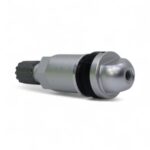 Replacement Tyre Pressure Sensor Valve - TPMS-07 - for Silver Screw-On Valve
