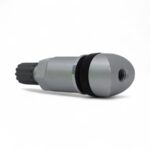 Replacement Tyre Pressure Sensor Valve - TPMS-25 - for Silver Screw-On Valve