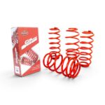 StyleQuip Suspension Lowering Kit for VW Polo Vivo 6R (40mm)