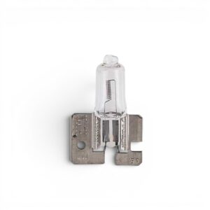 Replacement H2 12v 55w Halogen Bulb (ea)GLOBES QI 12V 55WATTS H2 HALOGEN EACH