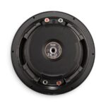 Pioneer TS-D10D4 10" D-Series Subwoofer | Dual 4-Ohm | 1500W Max | 500W RMS - Image 2