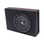 Ice Power IPW-ACTI10 10" 12000w Active Subwoofer & Amplifier Enclosure Kit - Image 2